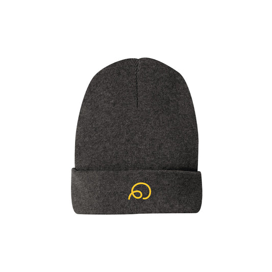 District Re-Beanie